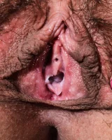 Aunt Judy's - 75-075